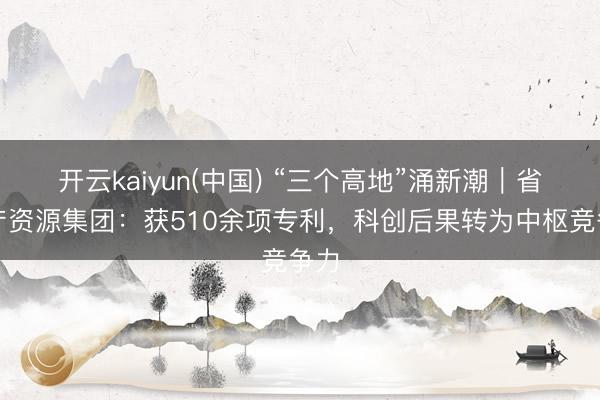 开云kaiyun(中国) “三个高地”涌新潮｜省矿产资源集团：获510余项专利，科创后果转为中枢竞争力