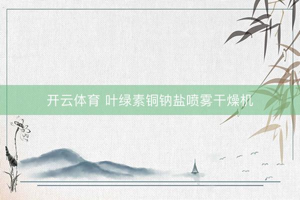 开云体育 叶绿素铜钠盐喷雾干燥机
