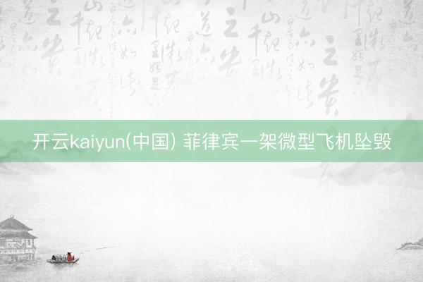 开云kaiyun(中国) 菲律宾一架微型飞机坠毁