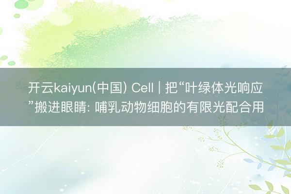 开云kaiyun(中国) Cell | 把“叶绿体光响应”搬进眼睛: 哺乳动物细胞的有限光配合用