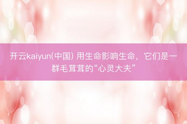 开云kaiyun(中国) 用生命影响生命，它们是一群毛茸茸的“心灵大夫”