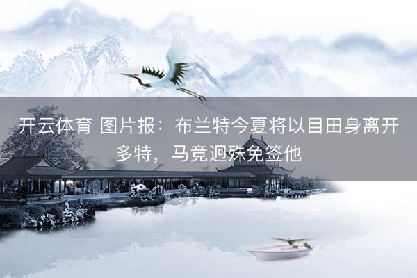 开云体育 图片报：布兰特今夏将以目田身离开多特，马竞迥殊免签他