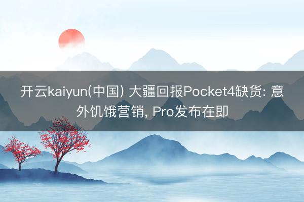 开云kaiyun(中国) 大疆回报Pocket4缺货: 意外饥饿营销， Pro发布在即