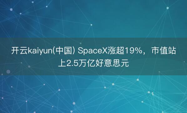 开云kaiyun(中国) SpaceX涨超19%，市值站上2.5万亿好意思元